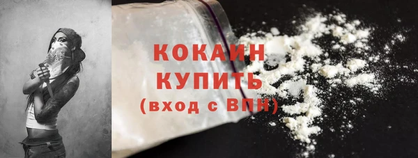 гидра Абаза