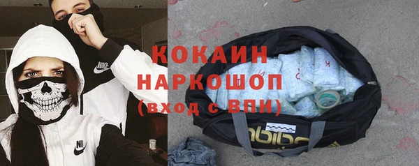 гидра Абаза