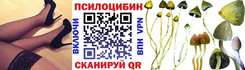 Галлюциногенные грибы Psilocybe  Тутаев 